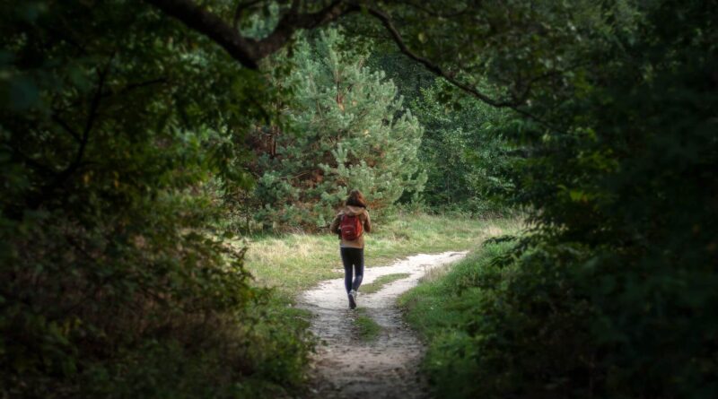 10 powerful habits for personal success and productivity