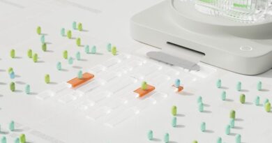 Google Gemini Agentic AI