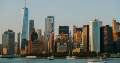 Zohran Mamdani New York AI regulation