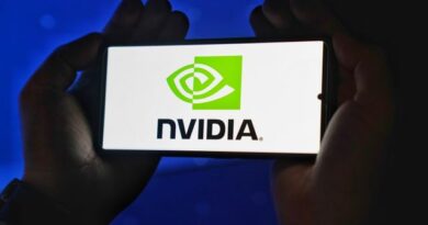 Nvidia Enterprise Open Models